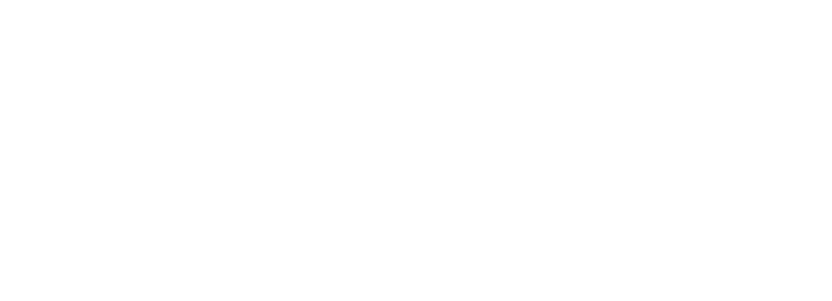 Boomi_logo_white (1)
