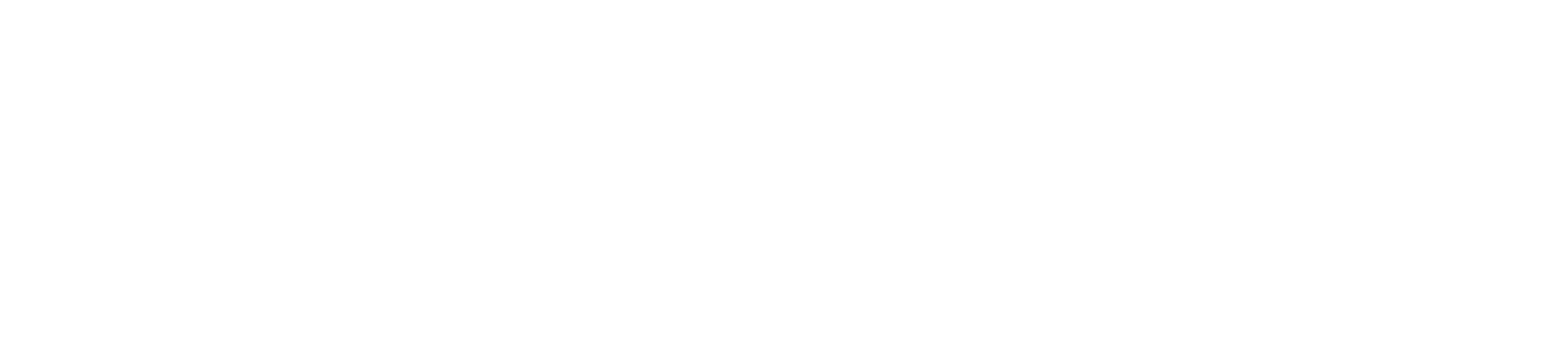 wflow_logo_white